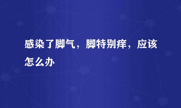 感染了脚气，脚特别痒，应该怎么办