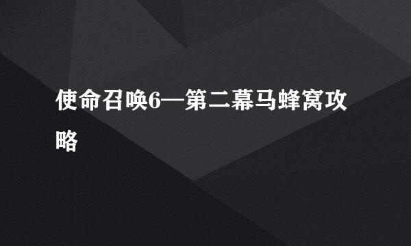 使命召唤6—第二幕马蜂窝攻略
