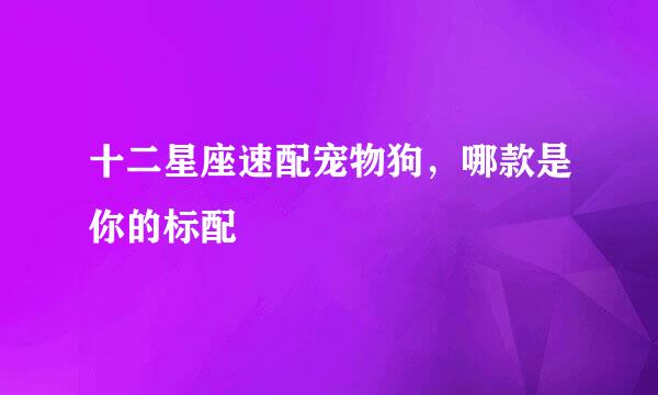 十二星座速配宠物狗,哪款是你的标配