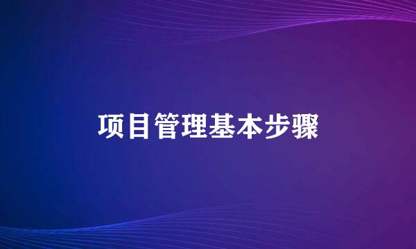 项目管理基本步骤