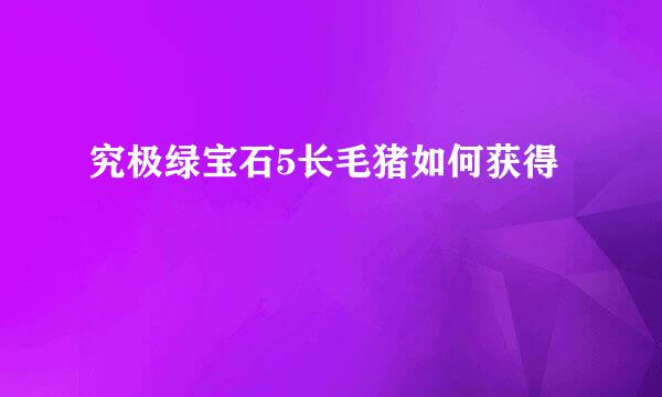 究极绿宝石5长毛猪如何获得