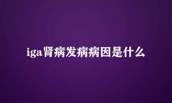 iga肾病发病病因是什么