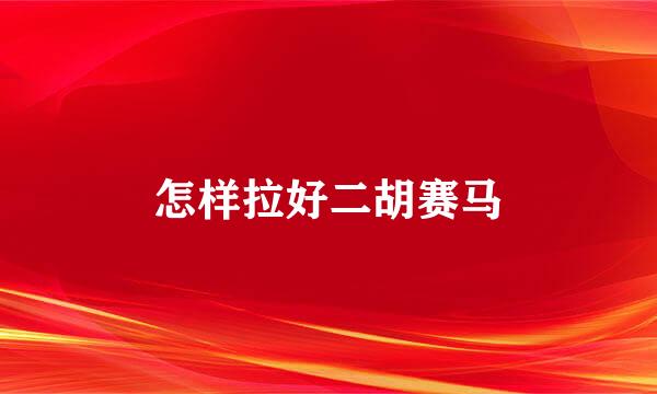 怎样拉好二胡赛马
