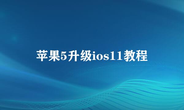 苹果5升级ios11教程