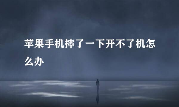 苹果手机摔了一下开不了机怎么办