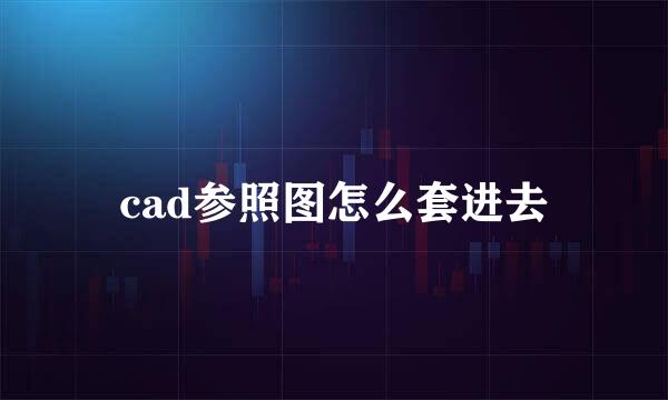 cad参照图怎么套进去