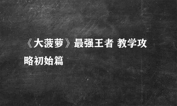 《大菠萝》最强王者 教学攻略初始篇