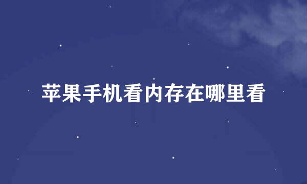 苹果手机看内存在哪里看