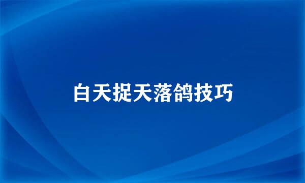 白天捉天落鸽技巧