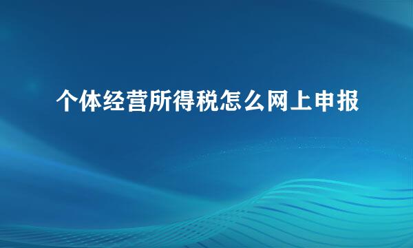 个体经营所得税怎么网上申报