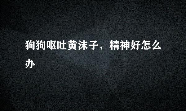 狗狗呕吐黄沫子，精神好怎么办