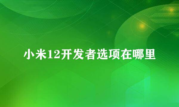 小米12开发者选项在哪里