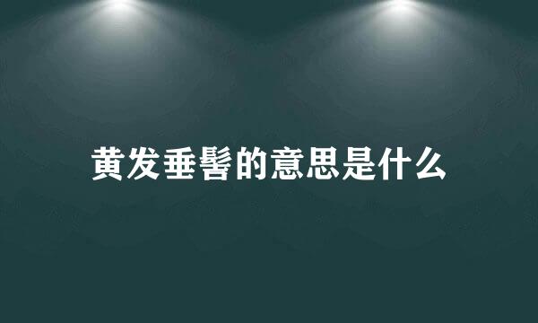 黄发垂髻的意思是什么