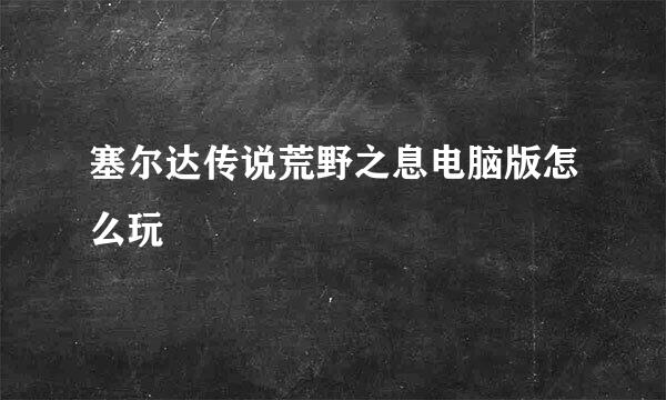 塞尔达传说荒野之息电脑版怎么玩