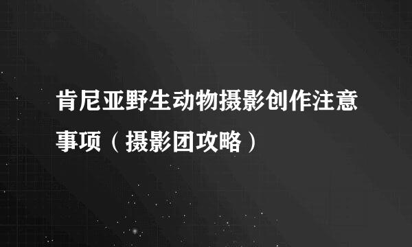 肯尼亚野生动物摄影创作注意事项（摄影团攻略）
