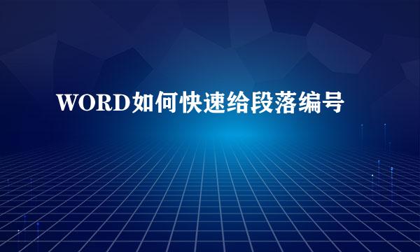 WORD如何快速给段落编号