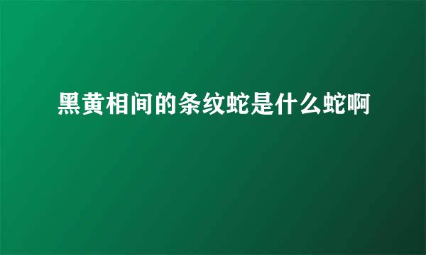 黑黄相间的条纹蛇是什么蛇啊