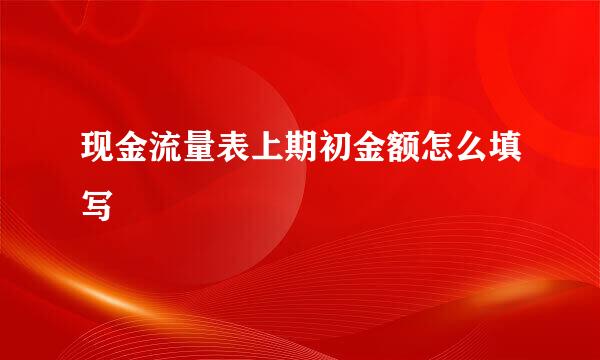 现金流量表上期初金额怎么填写