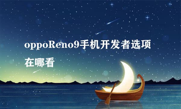 oppoReno9手机开发者选项在哪看