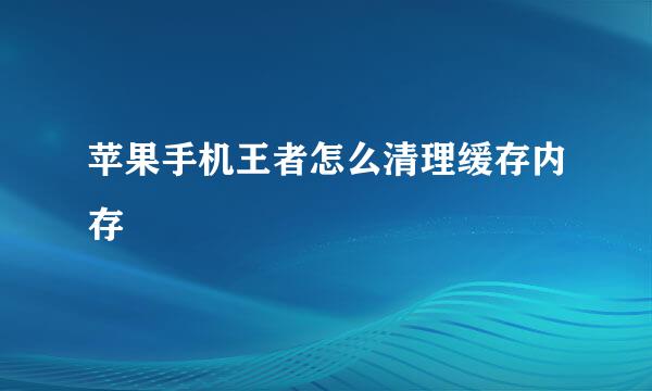 苹果手机王者怎么清理缓存内存