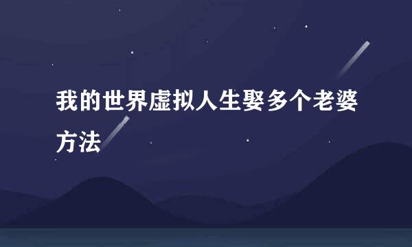 我的世界虚拟人生娶多个老婆方法