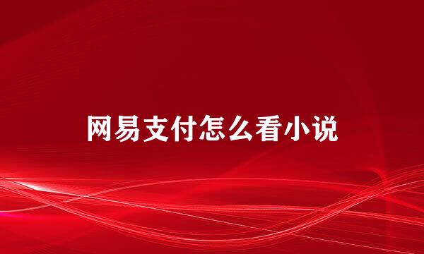 网易支付怎么看小说