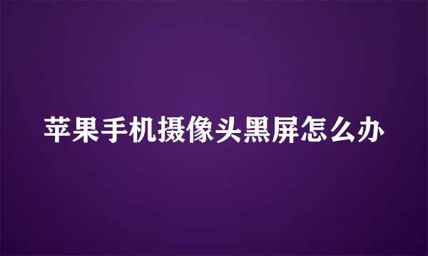 苹果手机摄像头黑屏怎么办