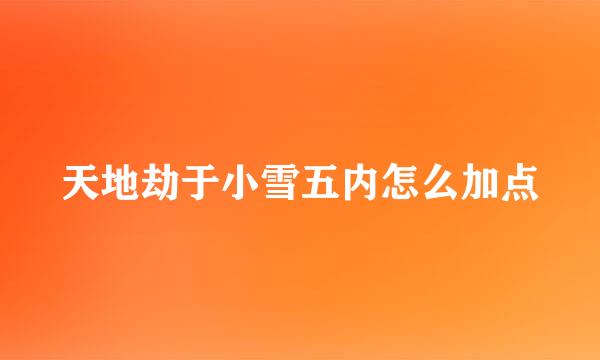 天地劫于小雪五内怎么加点