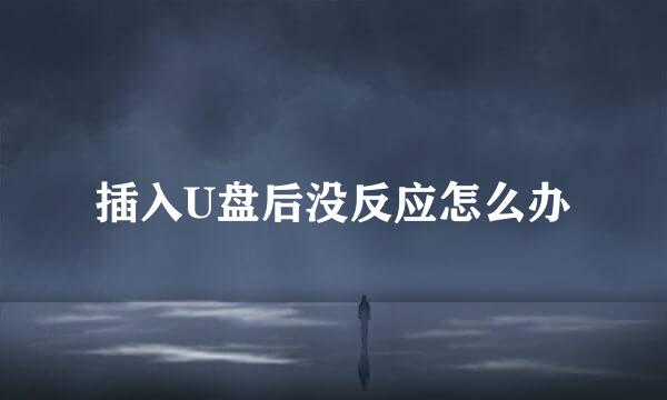 插入U盘后没反应怎么办