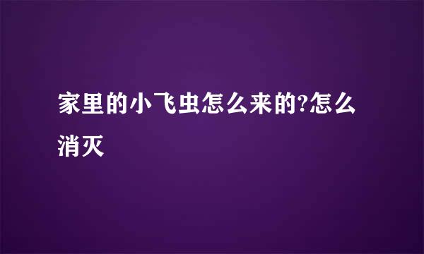 家里的小飞虫怎么来的?怎么消灭
