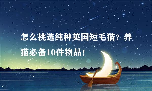 怎么挑选纯种英国短毛猫？养猫必备10件物品！