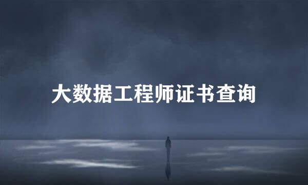大数据工程师证书查询