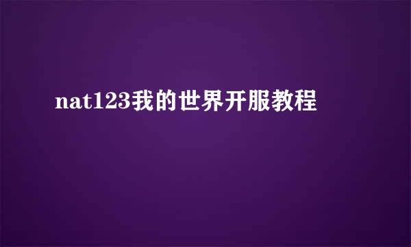 nat123我的世界开服教程