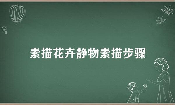 素描花卉静物素描步骤
