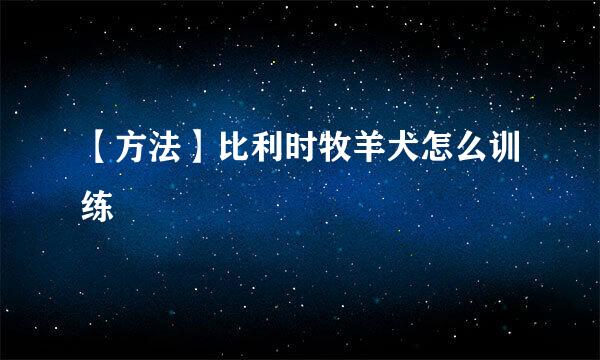 【方法】比利时牧羊犬怎么训练