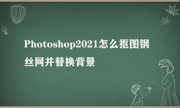 Photoshop2021怎么抠图钢丝网并替换背景