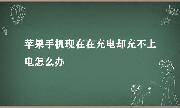 苹果手机现在在充电却充不上电怎么办