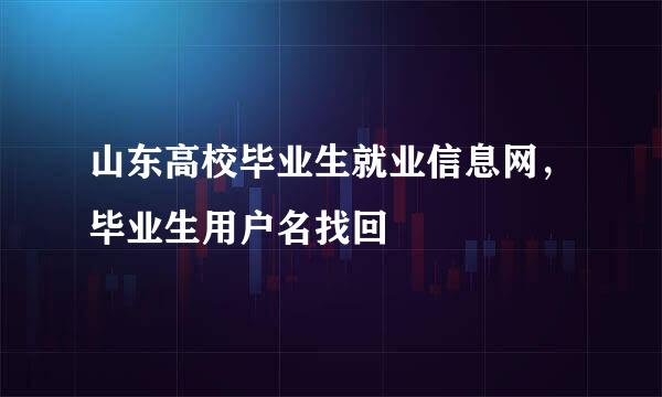 山东高校毕业生就业信息网，毕业生用户名找回