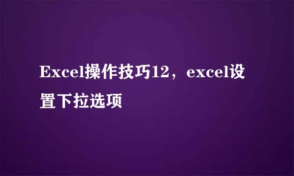 Excel操作技巧12,excel设置下拉选项