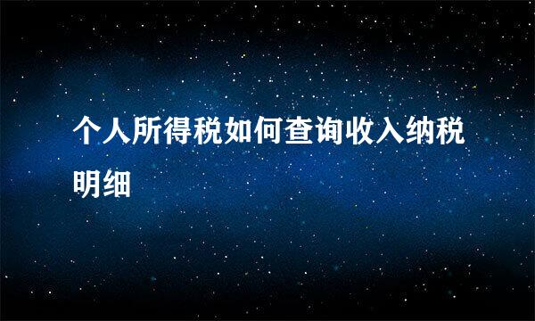 个人所得税如何查询收入纳税明细