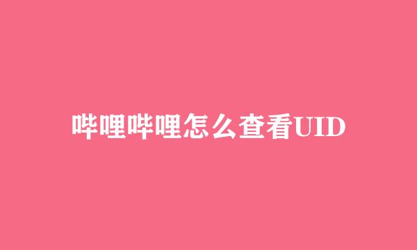 哔哩哔哩怎么查看UID