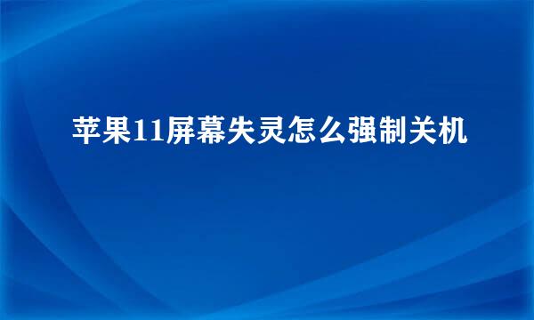 苹果11屏幕失灵怎么强制关机