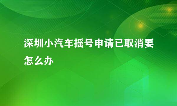 深圳小汽车摇号申请已取消要怎么办