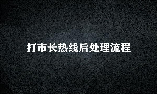 打市长热线后处理流程