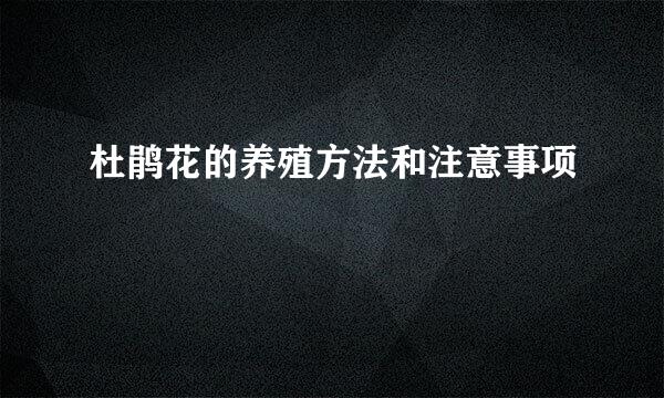 杜鹃花的养殖方法和注意事项