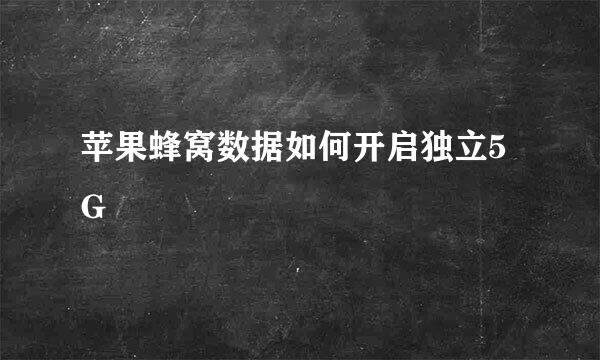 苹果蜂窝数据如何开启独立5G