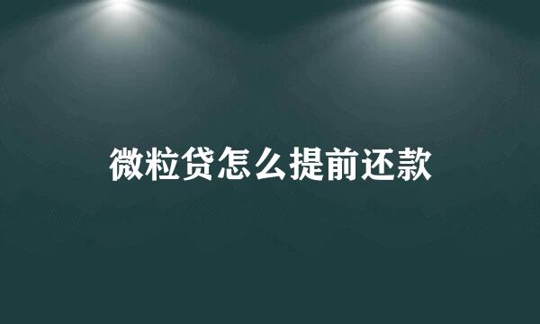 微粒贷怎么提前还款