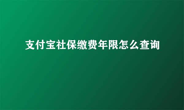 支付宝社保缴费年限怎么查询