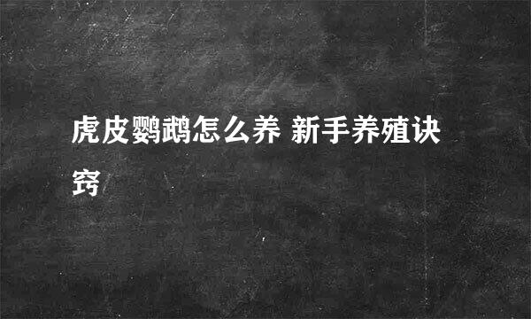 虎皮鹦鹉怎么养 新手养殖诀窍