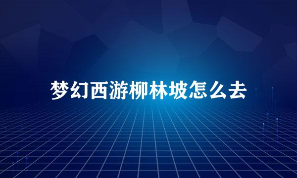 梦幻西游柳林坡怎么去